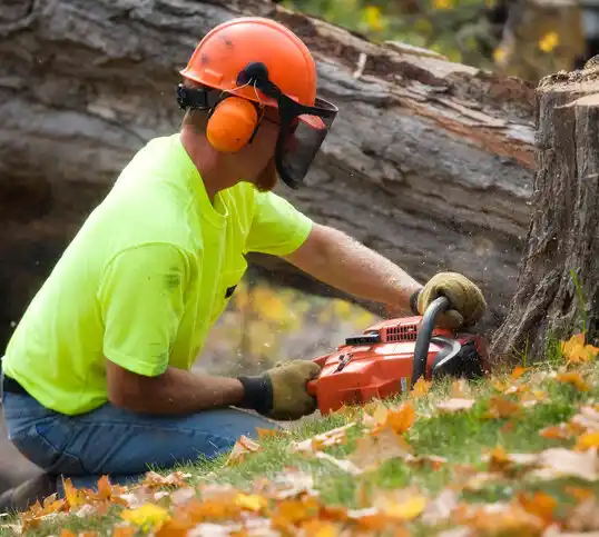 tree services Supreme